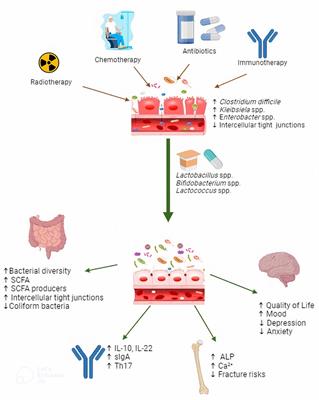 The pros and cons of probiotic use in pediatric oncology patients following treatment for acute lymphoblastic leukemia